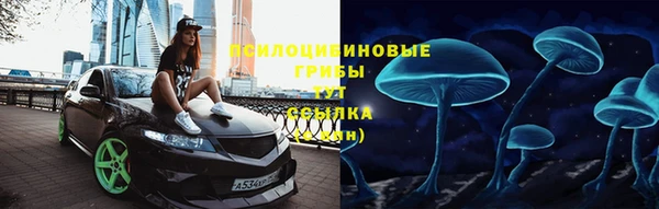 гашик Каменск-Шахтинский