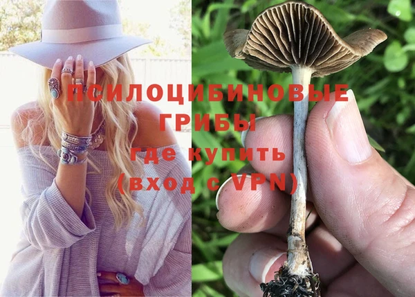 гашик Каменск-Шахтинский